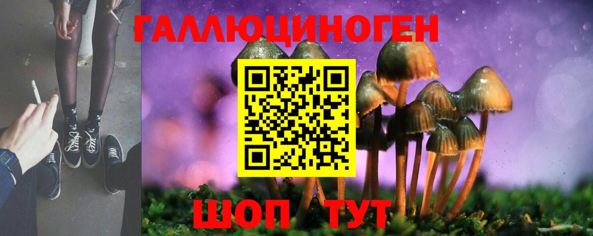 Псилоцибиновые грибы Cubensis  Вход с VPN  Амурск 